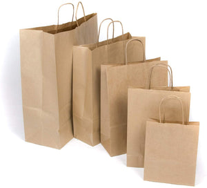 20 Kraft Paper Twist Handle Carrier Bags (26cmx34cmx11cm)